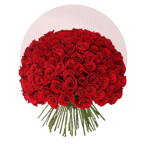 Grand bouquet rond de roses rouges denses - Idée cadeau Saint-Valentin Casablanca