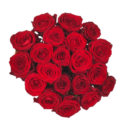 Composition de roses rouges denses en bouquet rond - Boutique de fleurs en ligne Casablanca